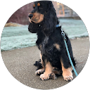 Ron Verspeek profile picture