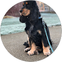 Ron Verspeek profile picture